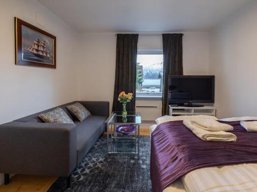 Apartment Aurora Dream House With Free Parking Tromso